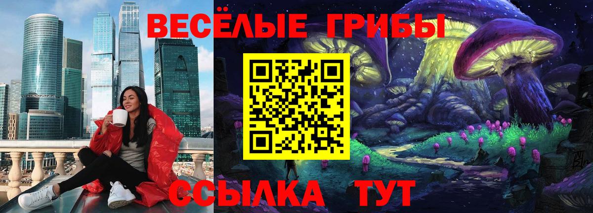 где купить наркоту  Галлюциногенные грибы ЛСД  Вход с VPN  Светлоград 